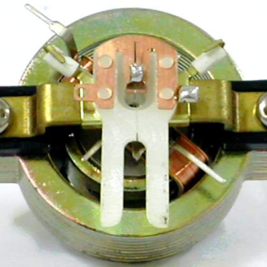 Taut Band Movement